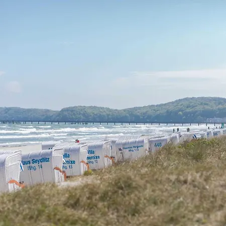 Seerosen - Seeblick Binz