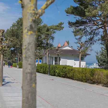 Seerosen - Seeblick *