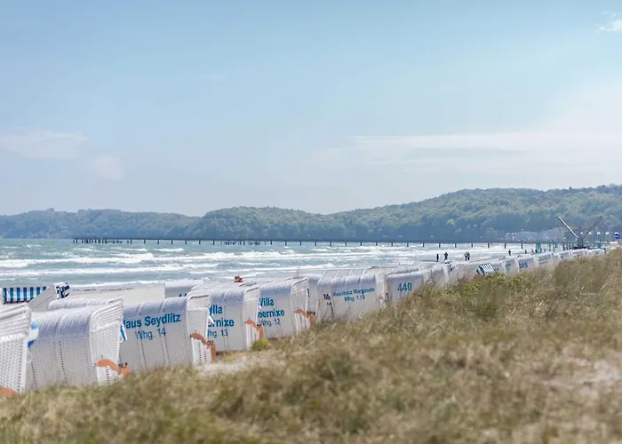 Seerosen - Seeblick Binz